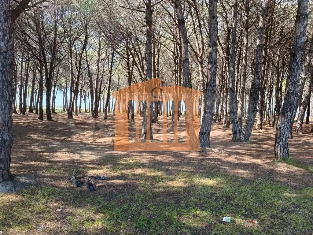 Parcela toke 30000 m²