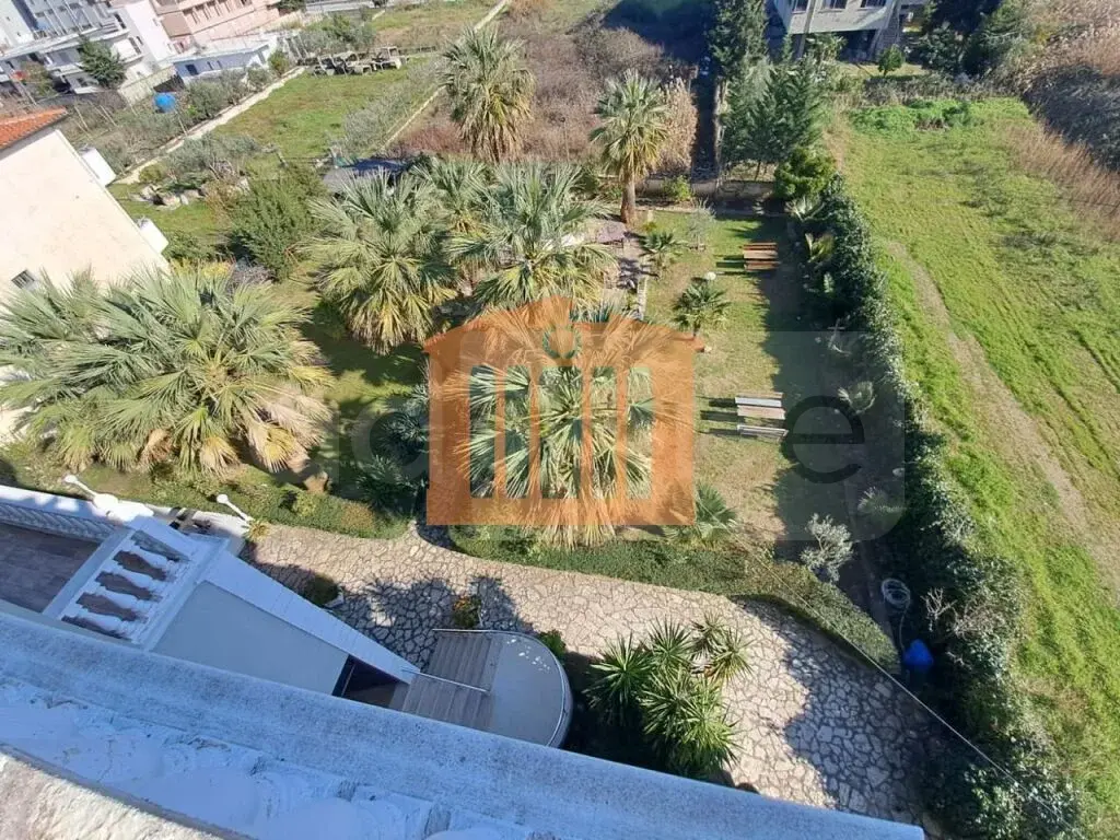 Pasuri të palujtshme komerciale 1563 m²
