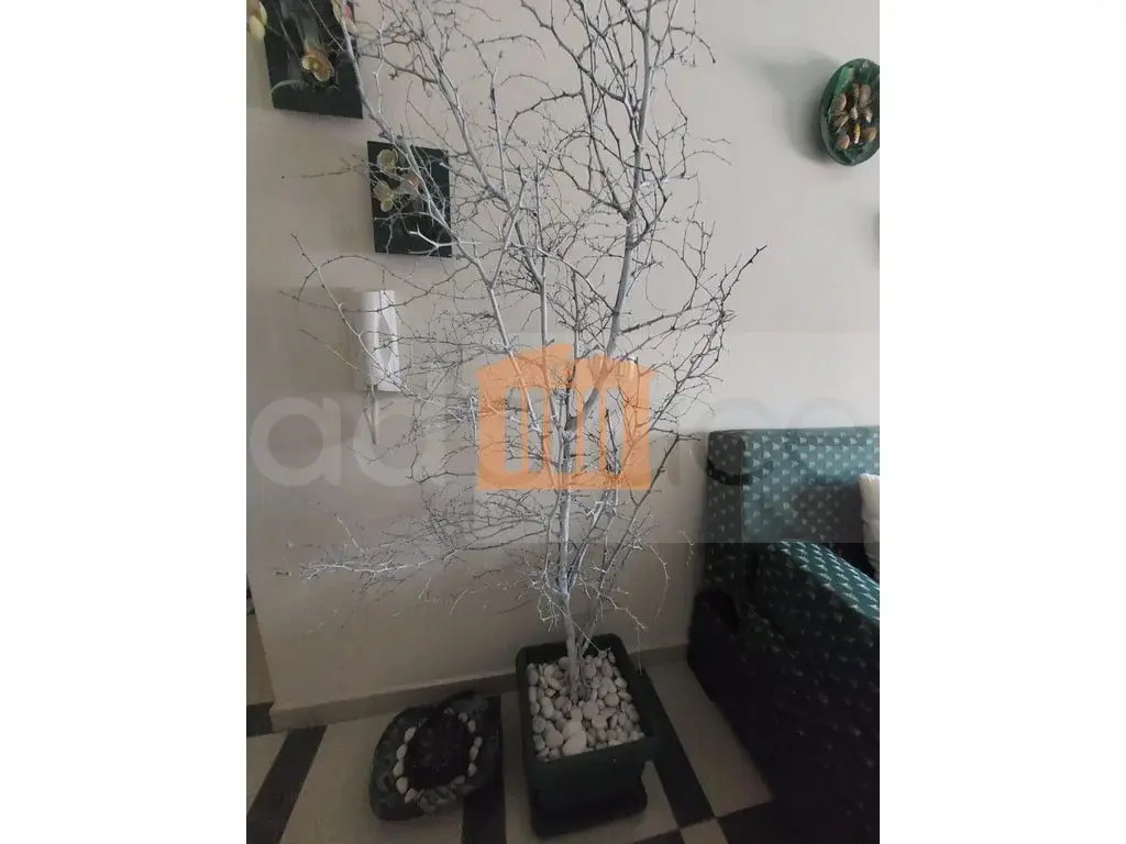 Apartament 1+1 dhoma 56 m² 3 kati