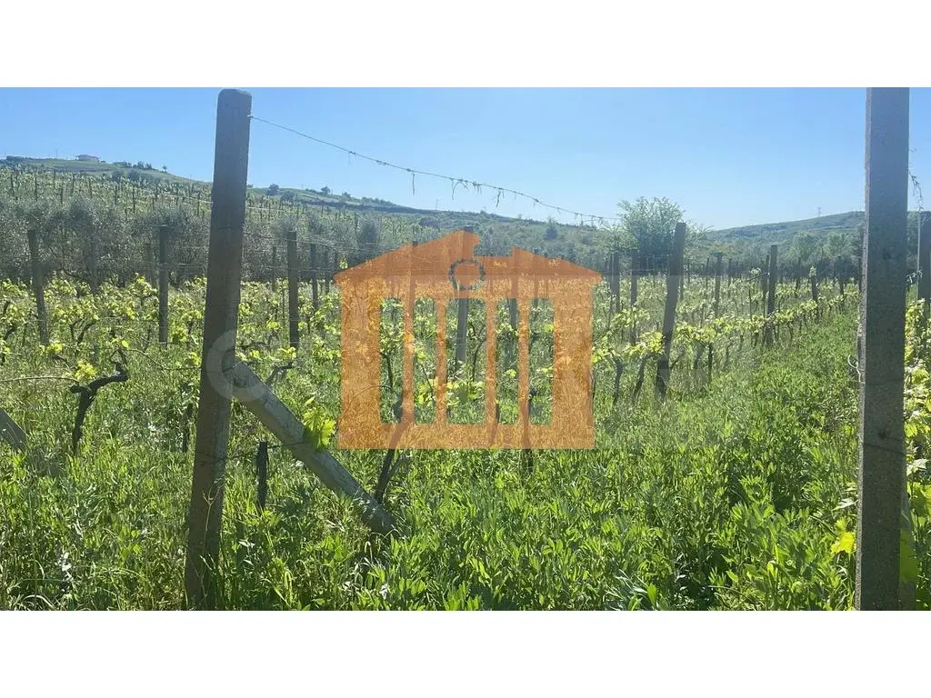 Parcela toke 22000 m²