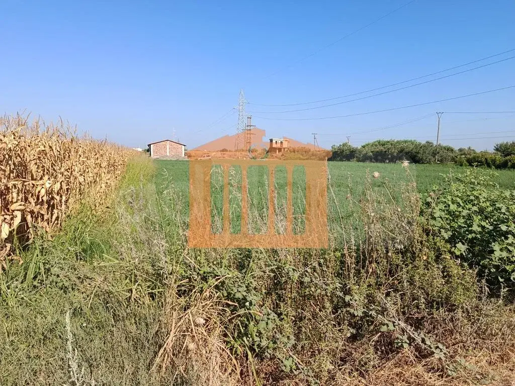 Parcela toke 5000 m²
