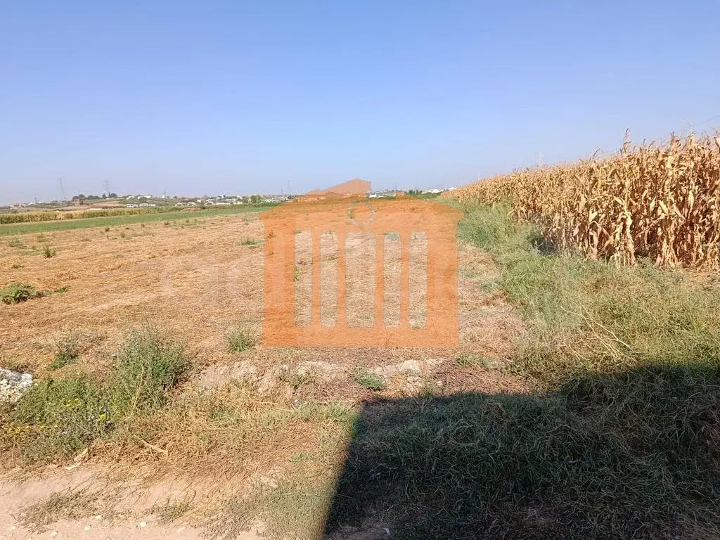 Parcela toke 5000 m²