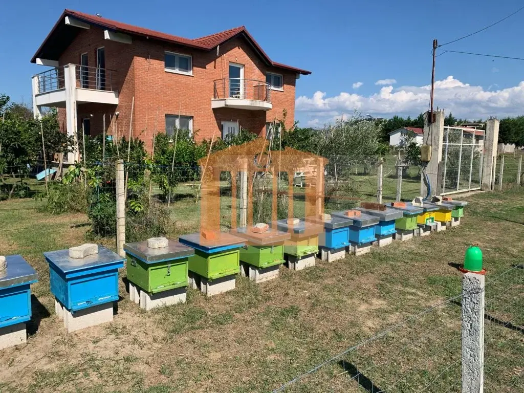 Vilë 214 m²