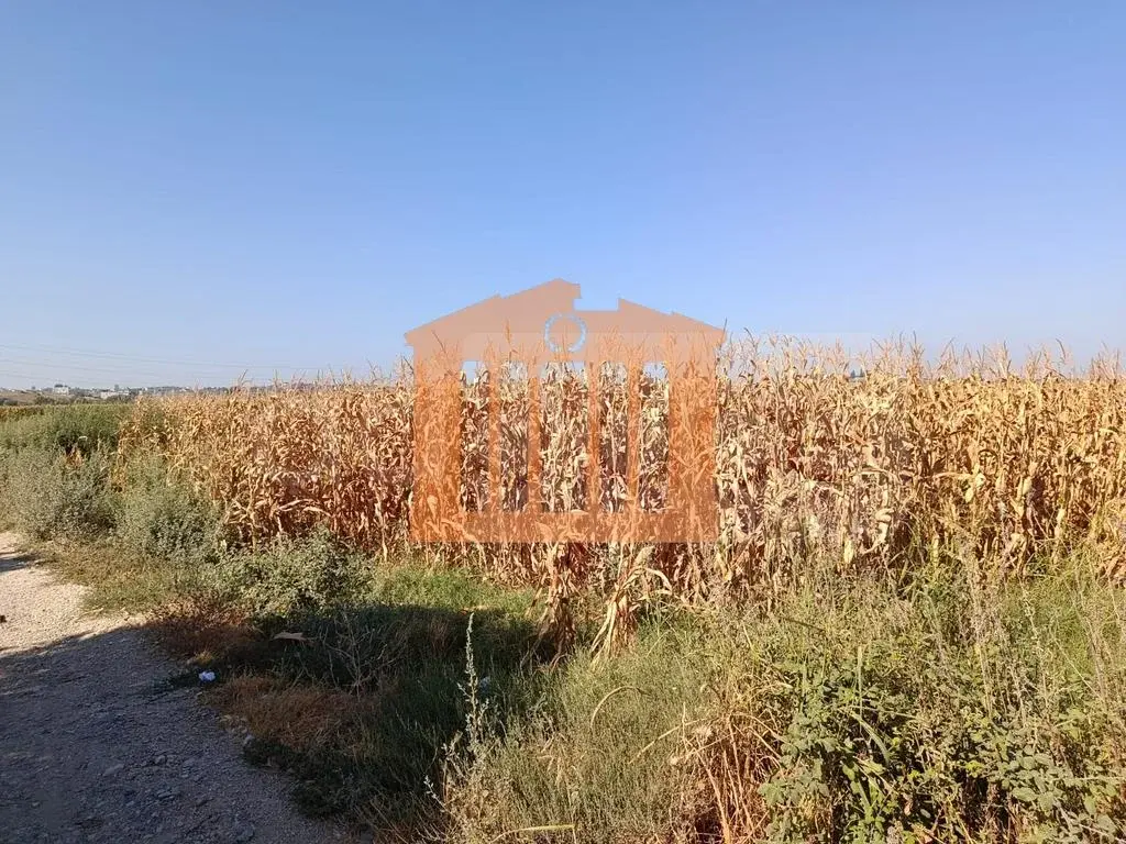 Parcela toke 5000 m²