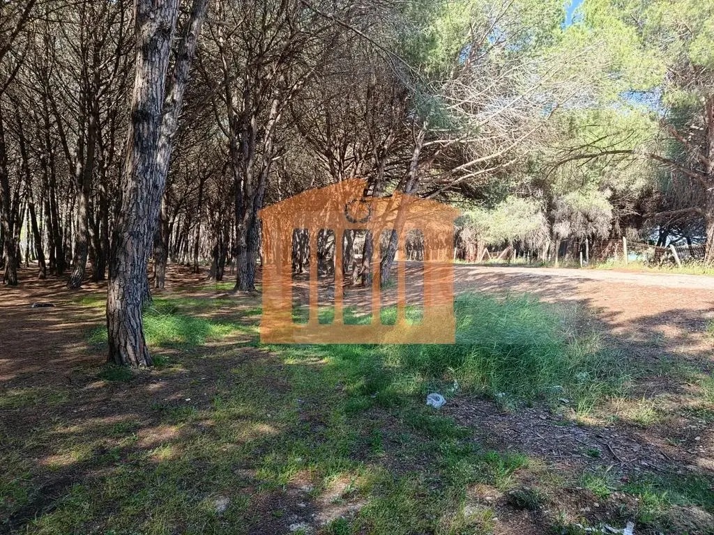 Parcela toke 30000 m²