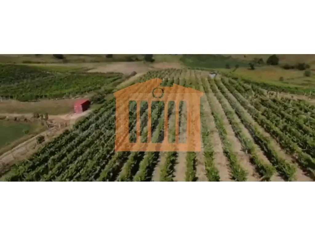Parcela toke 22000 m²