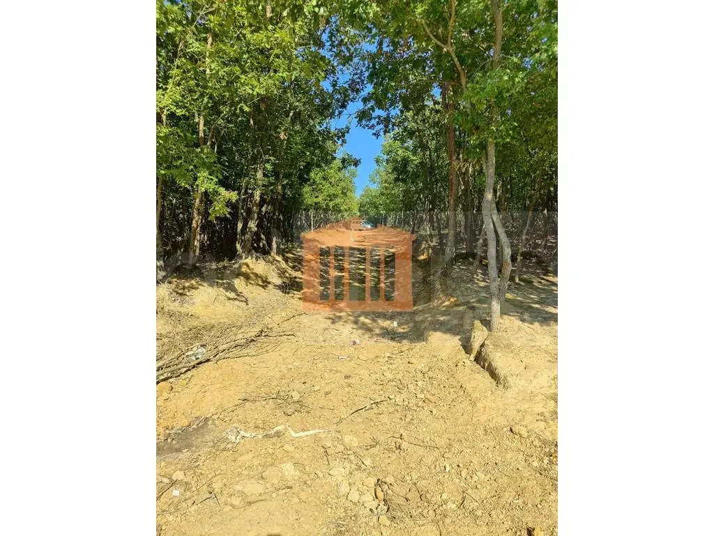 Parcela toke 300 m²