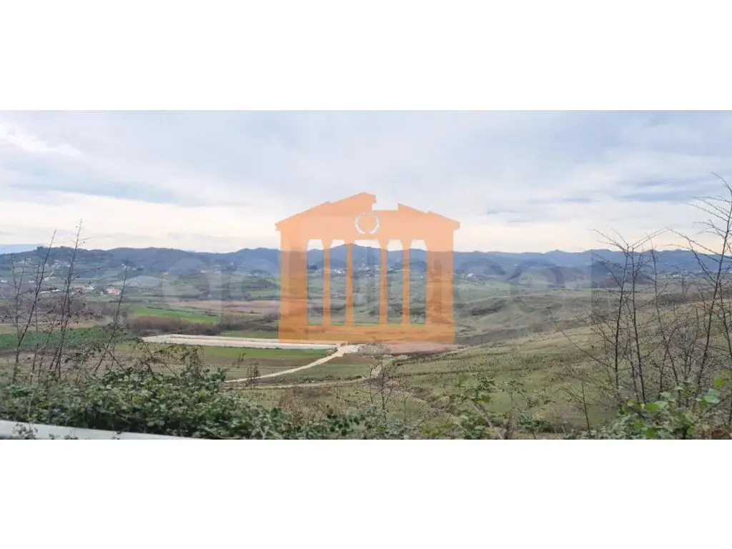 Parcela toke 8000 m²