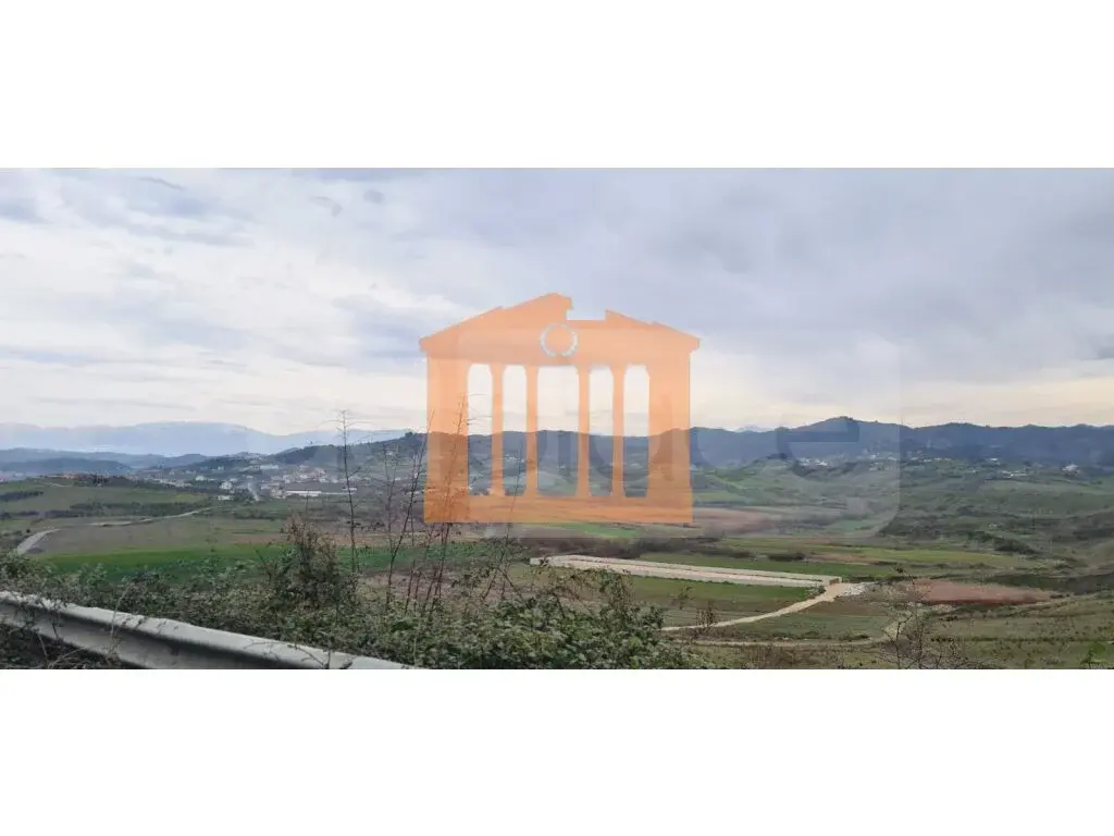 Parcela toke 8000 m²