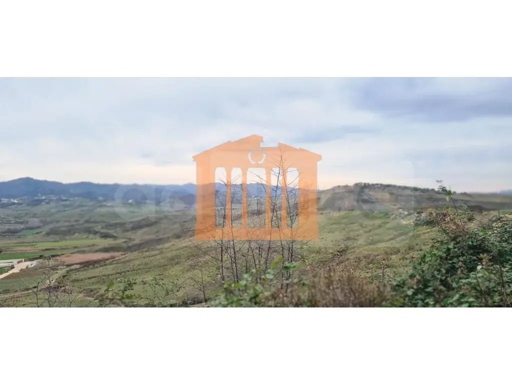 Parcela toke 8000 m²