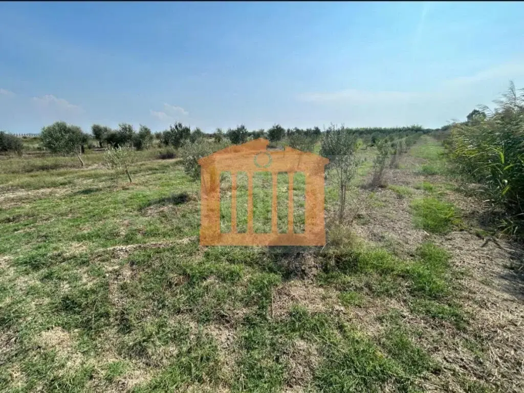 Parcela toke 2150 m²