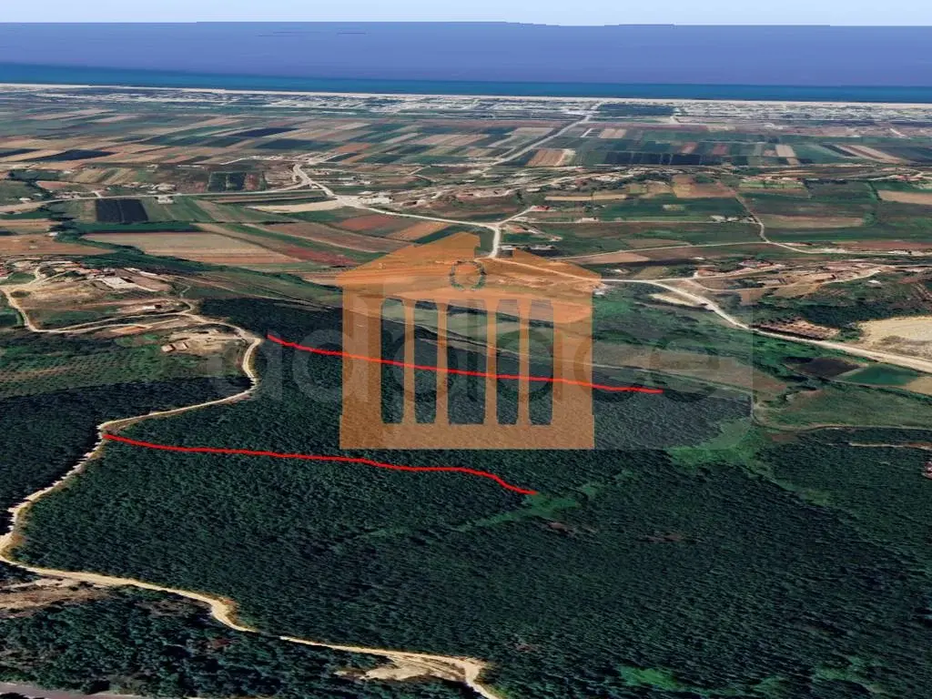 Parcela toke 49000 m²