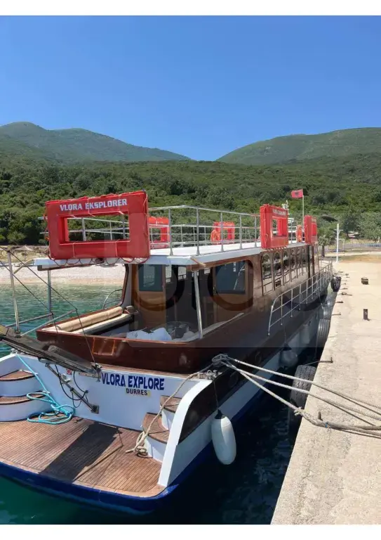 SHITET ANIJE TURISTIKE PER 100 PASAGJER.